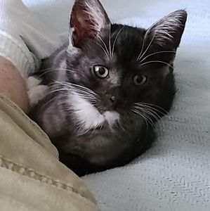 Meet your Posher, Anita